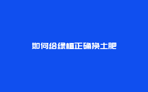 如何给绿植正确换土肥