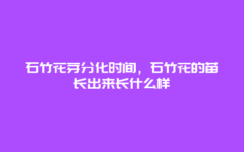 石竹花芽分化时间，石竹花的苗长出来长什么样