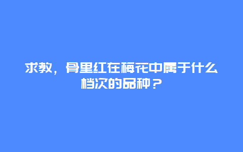 求教，骨里红在梅花中属于什么档次的品种？