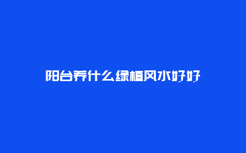 阳台养什么绿植风水好好