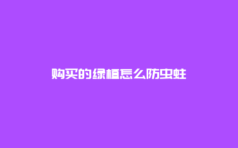 购买的绿植怎么防虫蛀