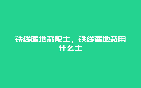 铁线莲地栽配土，铁线莲地栽用什么土