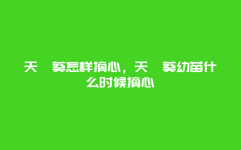 天竺葵怎样摘心，天竺葵幼苗什么时候摘心