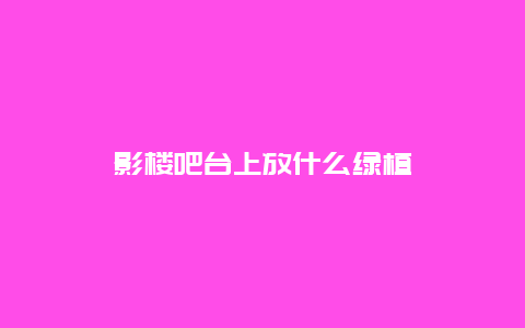 影楼吧台上放什么绿植