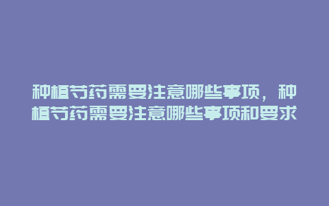 种植芍药需要注意哪些事项，种植芍药需要注意哪些事项和要求