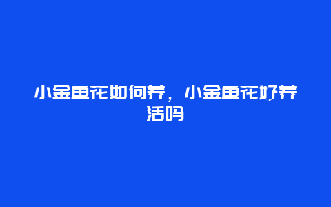 小金鱼花如何养，小金鱼花好养活吗