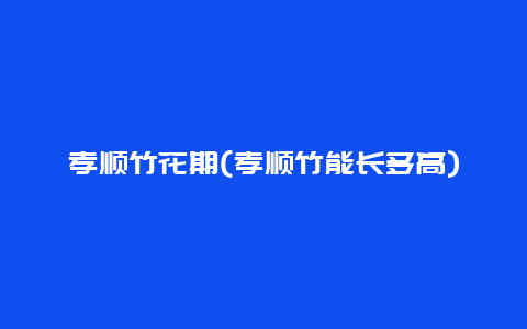 孝顺竹花期(孝顺竹能长多高)