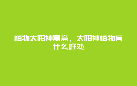 植物太阳神寓意，太阳神植物有什么好处