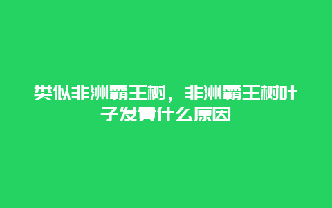 类似非洲霸王树，非洲霸王树叶子发黄什么原因