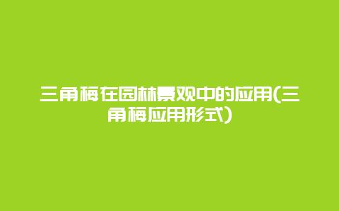 三角梅在园林景观中的应用(三角梅应用形式)