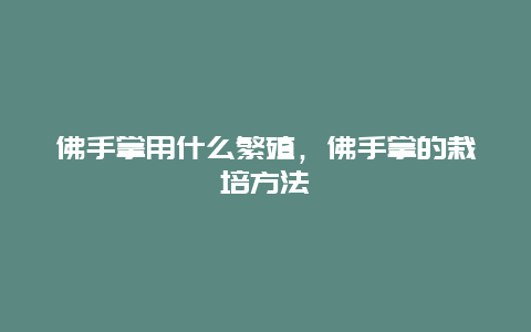 佛手掌用什么繁殖，佛手掌的栽培方法