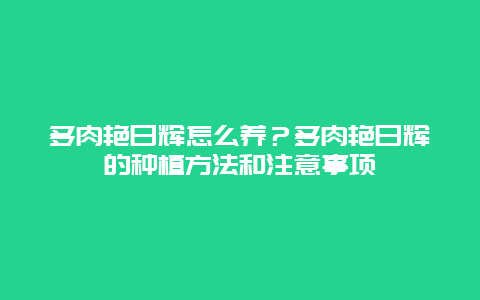 多肉艳日辉怎么养？多肉艳日辉的种植方法和注意事项