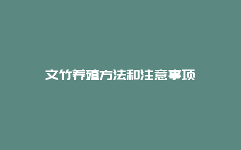 文竹养殖方法和注意事项