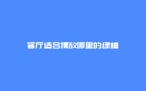 客厅适合摆放哪里的绿植