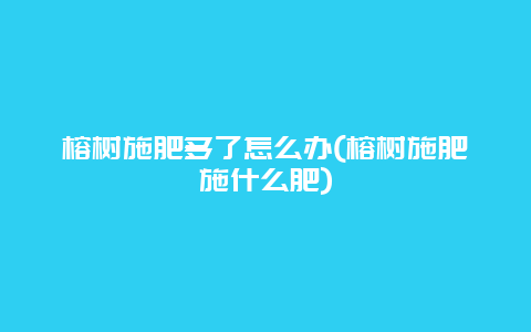 榕树施肥多了怎么办(榕树施肥施什么肥)