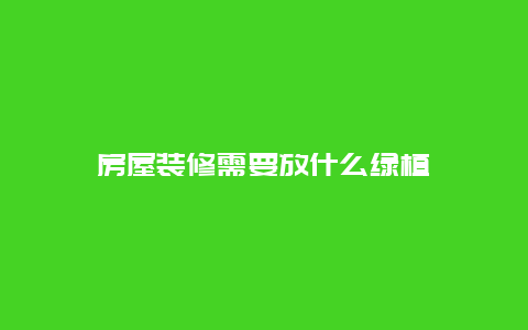 房屋装修需要放什么绿植