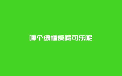 哪个绿植爱喝可乐呢