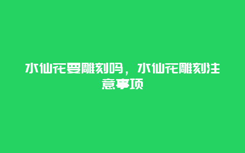 水仙花要雕刻吗，水仙花雕刻注意事项