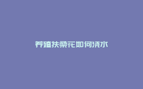 养殖扶桑花如何浇水