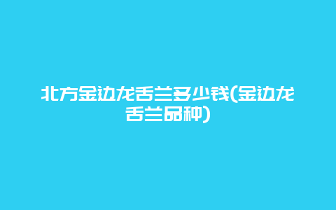 北方金边龙舌兰多少钱(金边龙舌兰品种)