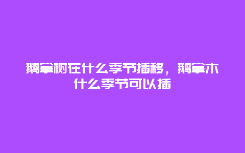 鹅掌树在什么季节插移，鹅掌木什么季节可以插