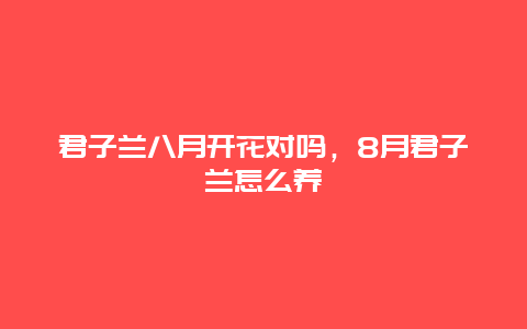 君子兰八月开花对吗，8月君子兰怎么养