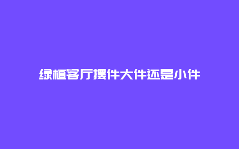 绿植客厅摆件大件还是小件