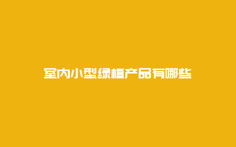 室内小型绿植产品有哪些