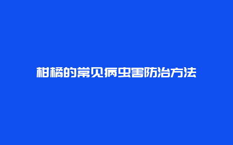 柑橘的常见病虫害防治方法