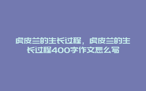 虎皮兰的生长过程，虎皮兰的生长过程400字作文怎么写