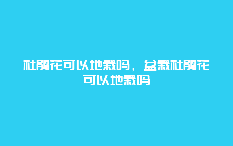 杜鹃花可以地栽吗，盆栽杜鹃花可以地栽吗