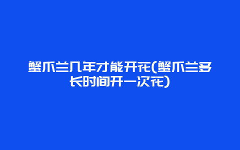 蟹爪兰几年才能开花(蟹爪兰多长时间开一次花)