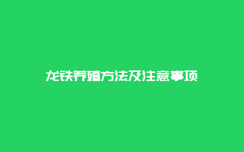 龙铁养殖方法及注意事项