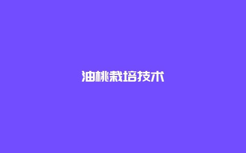 油桃栽培技术