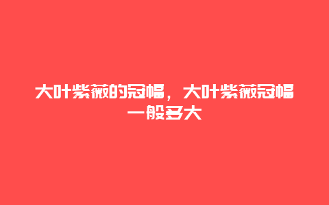 大叶紫薇的冠幅，大叶紫薇冠幅一般多大