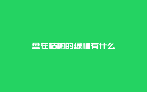 盘在枯树的绿植有什么