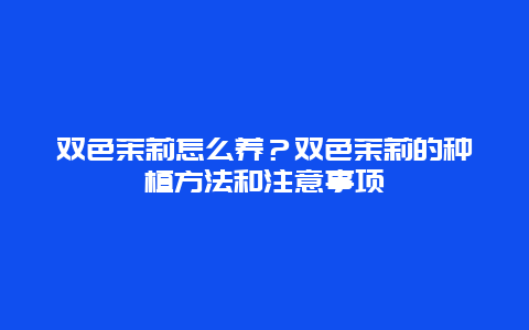 双色茉莉怎么养？双色茉莉的种植方法和注意事项