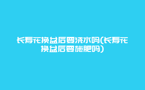 长寿花换盆后要浇水吗(长寿花换盆后要施肥吗)