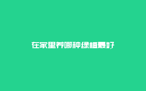 在家里养哪种绿植最好