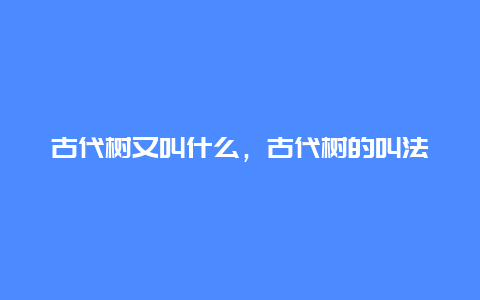 古代树又叫什么，古代树的叫法