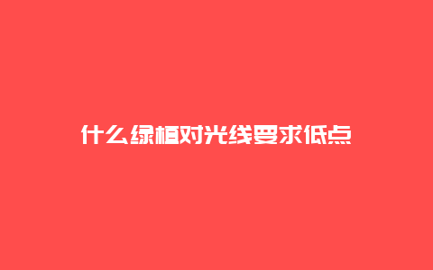 什么绿植对光线要求低点