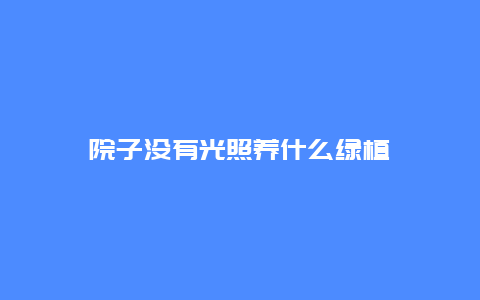 院子没有光照养什么绿植