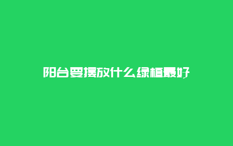 阳台要摆放什么绿植最好