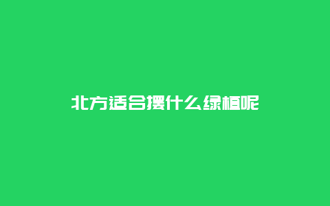 北方适合摆什么绿植呢