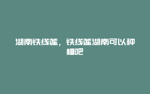 湖南铁线莲，铁线莲湖南可以种植吧