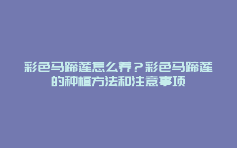 彩色马蹄莲怎么养？彩色马蹄莲的种植方法和注意事项