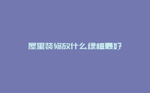 屋里装修放什么绿植最好