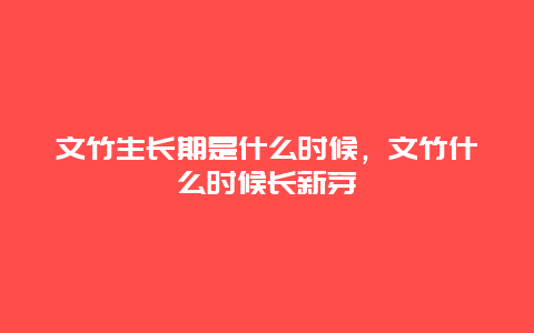 文竹生长期是什么时候，文竹什么时候长新芽