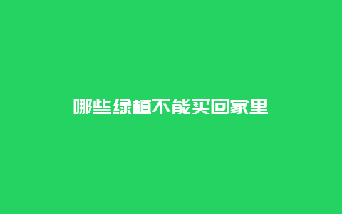 哪些绿植不能买回家里