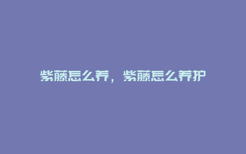 紫藤怎么养，紫藤怎么养护